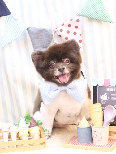 20250523太郎くん